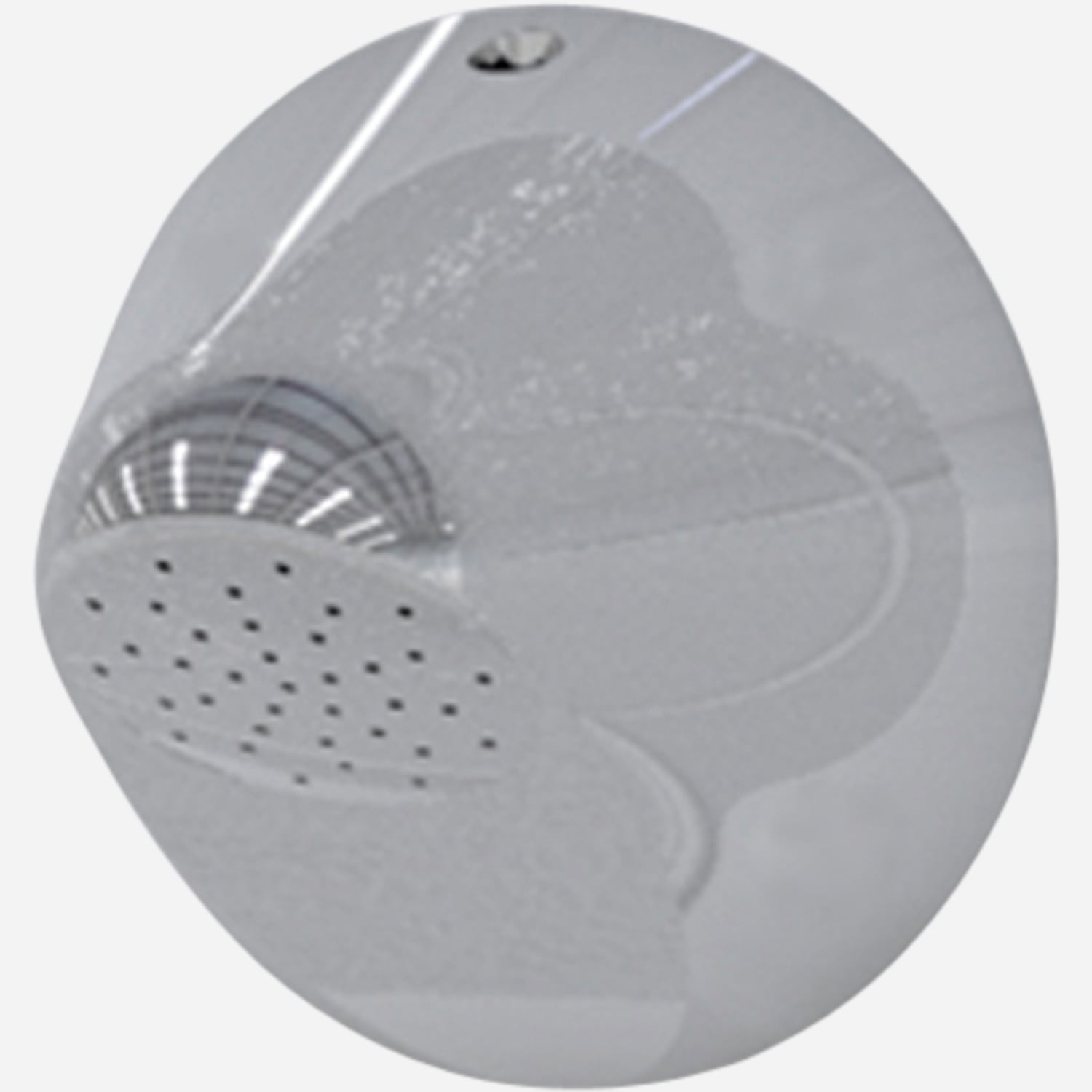 ADA Compliant Surface Mount Ligature Resistant Shower with