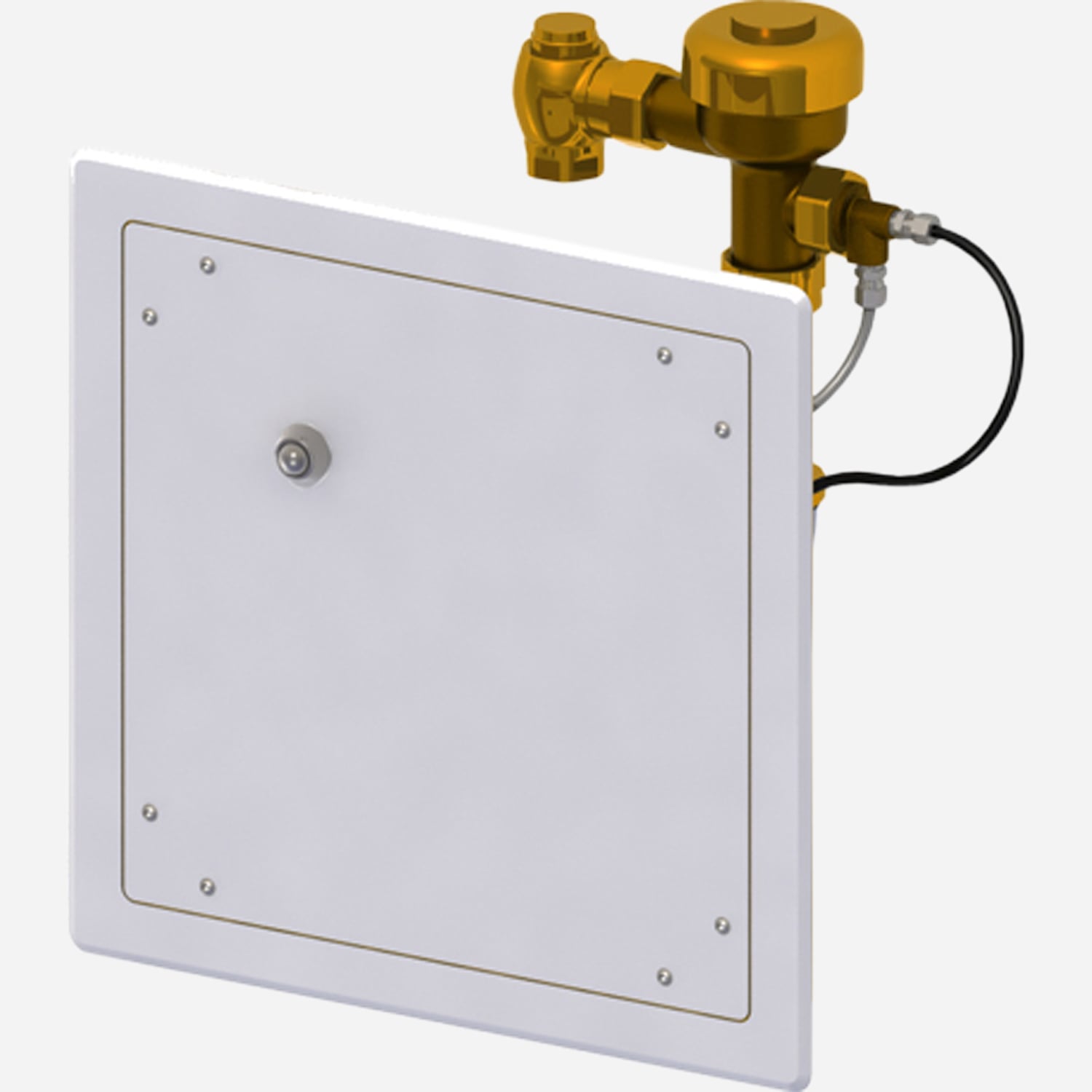 Ligature Resistant Access Panel with Hydraulic Flush Valve Whitehall