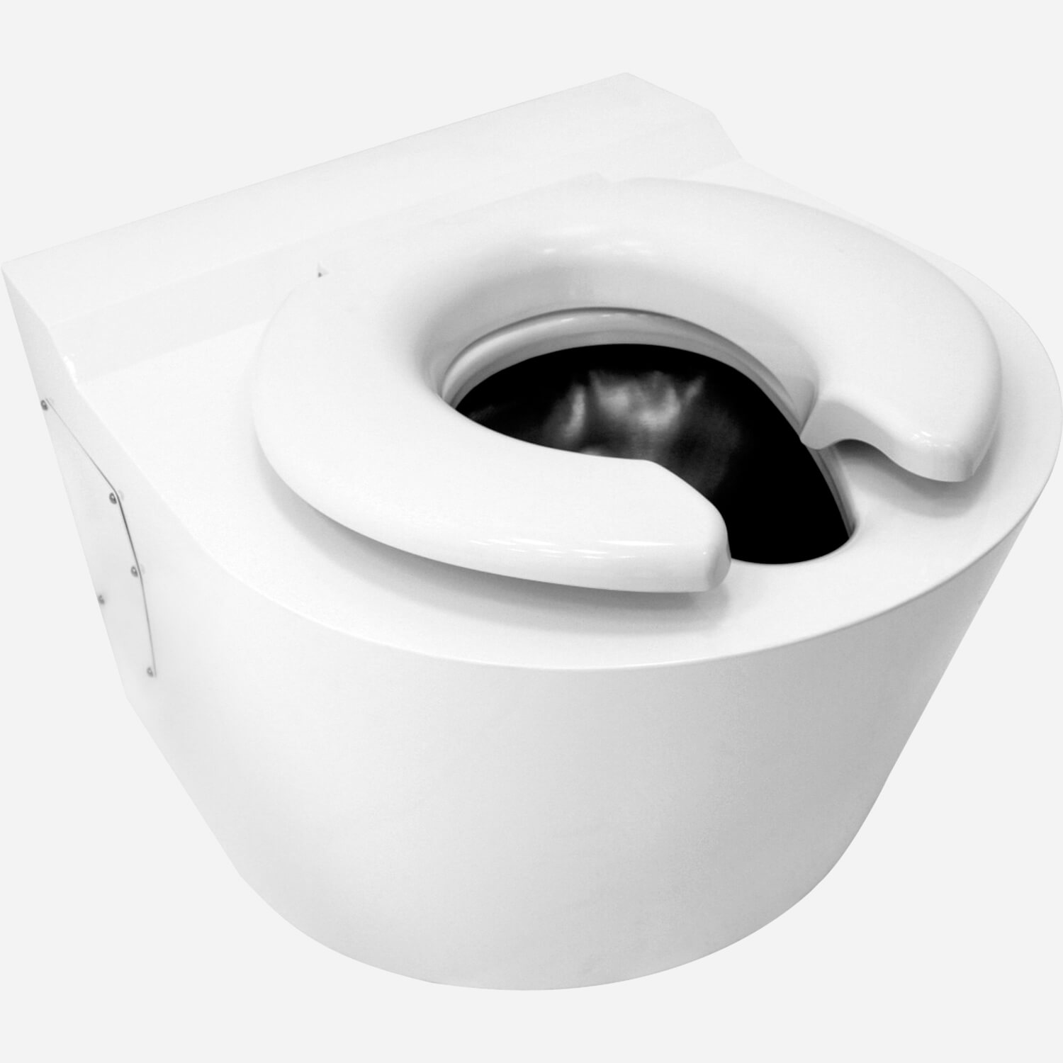 bariatric toilet