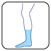 iconbt_leg calf