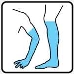 leg arm