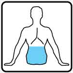 lower back