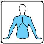 Upto Neck